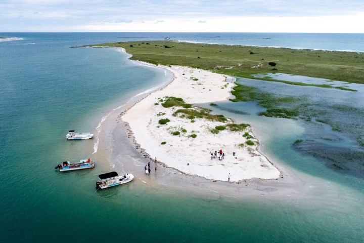 Masonboro-Oyster-Farm-Tour-Tasting-image-2